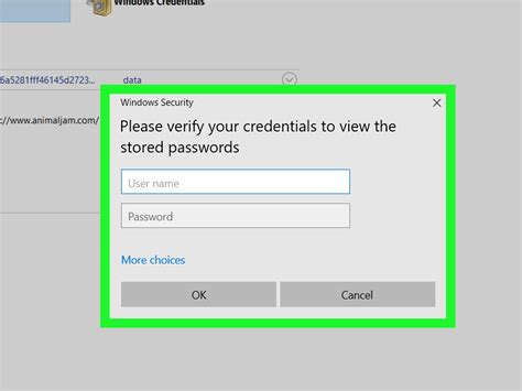 password maager|manage passwords on this computer.